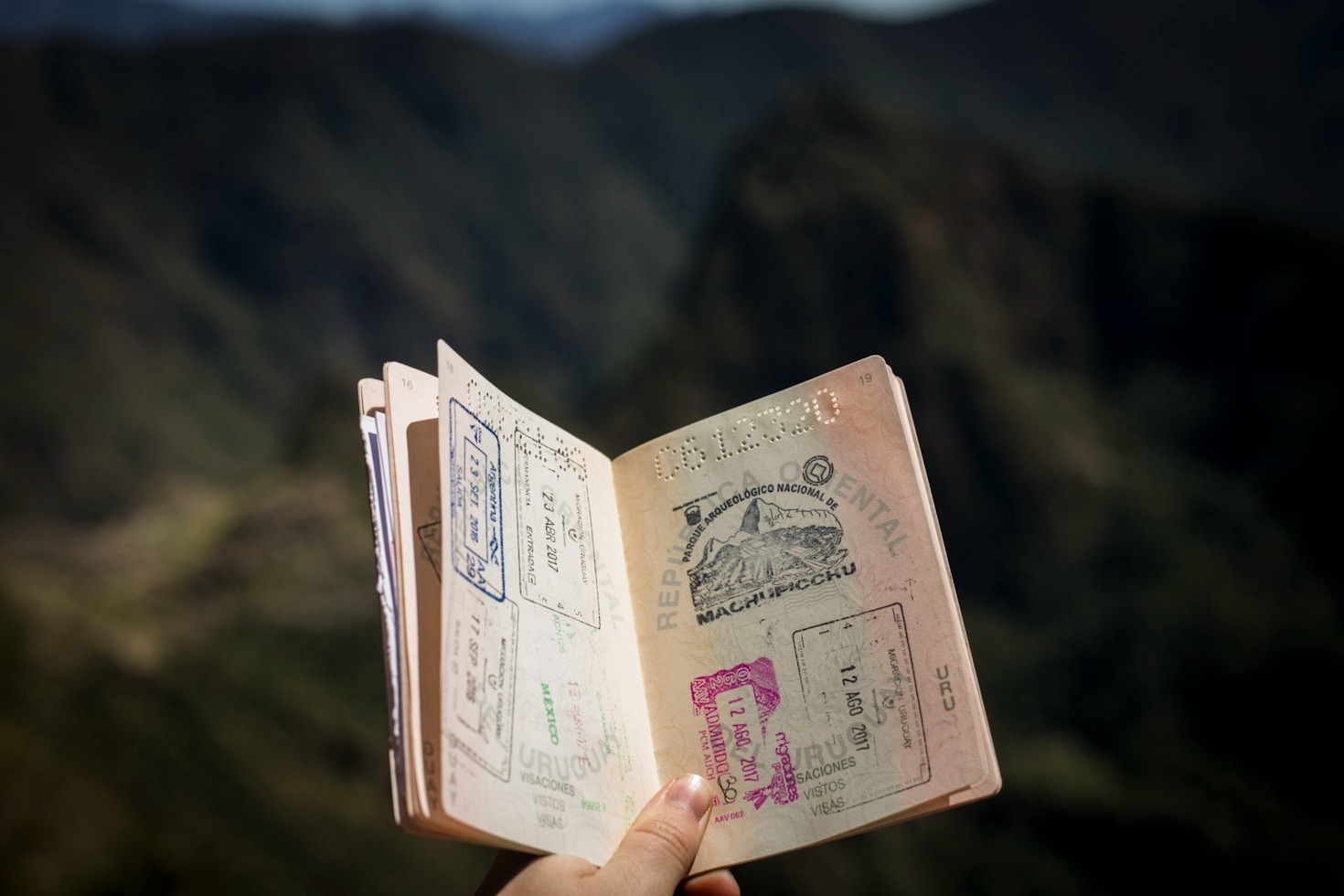 Common Mistakes To Avoid During Global Searches